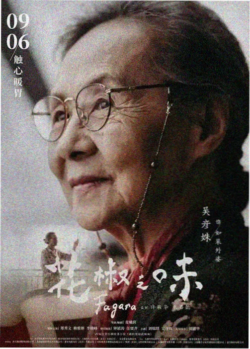 铁马冰河录小说封面